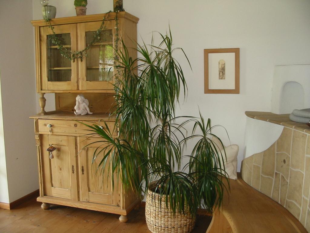 Ferienwohnung Am Pflanzgarten Ebensee Room photo